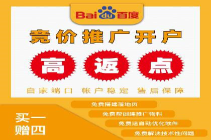 百度推广公司的成功案例：如何实现广告投资回报最大化